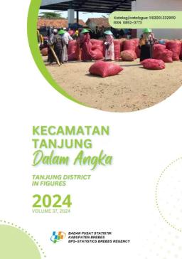 Tanjung District In Figures 2024