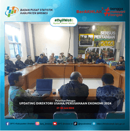 Pelatihan Updating Usaha/Perusahaan Ekonomi 2024