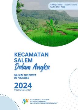 Kecamatan Salem Dalam Angka 2024