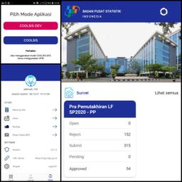 Digitalisasi dalam Proses Pendataan di BPS