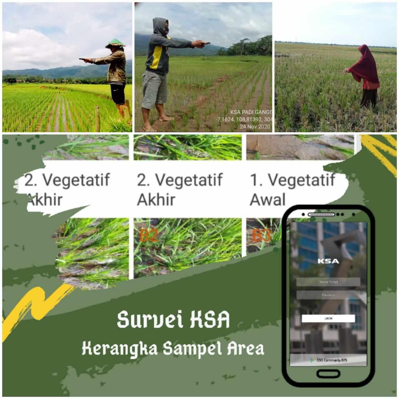 Survei KSA untuk Data Pangan yang Lebih Baik