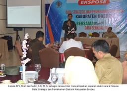 EKSPOSE DATA STRATEGIS DAN PEMAHAMAN STATISTIK BPS KABUPATEN BREBES 2017