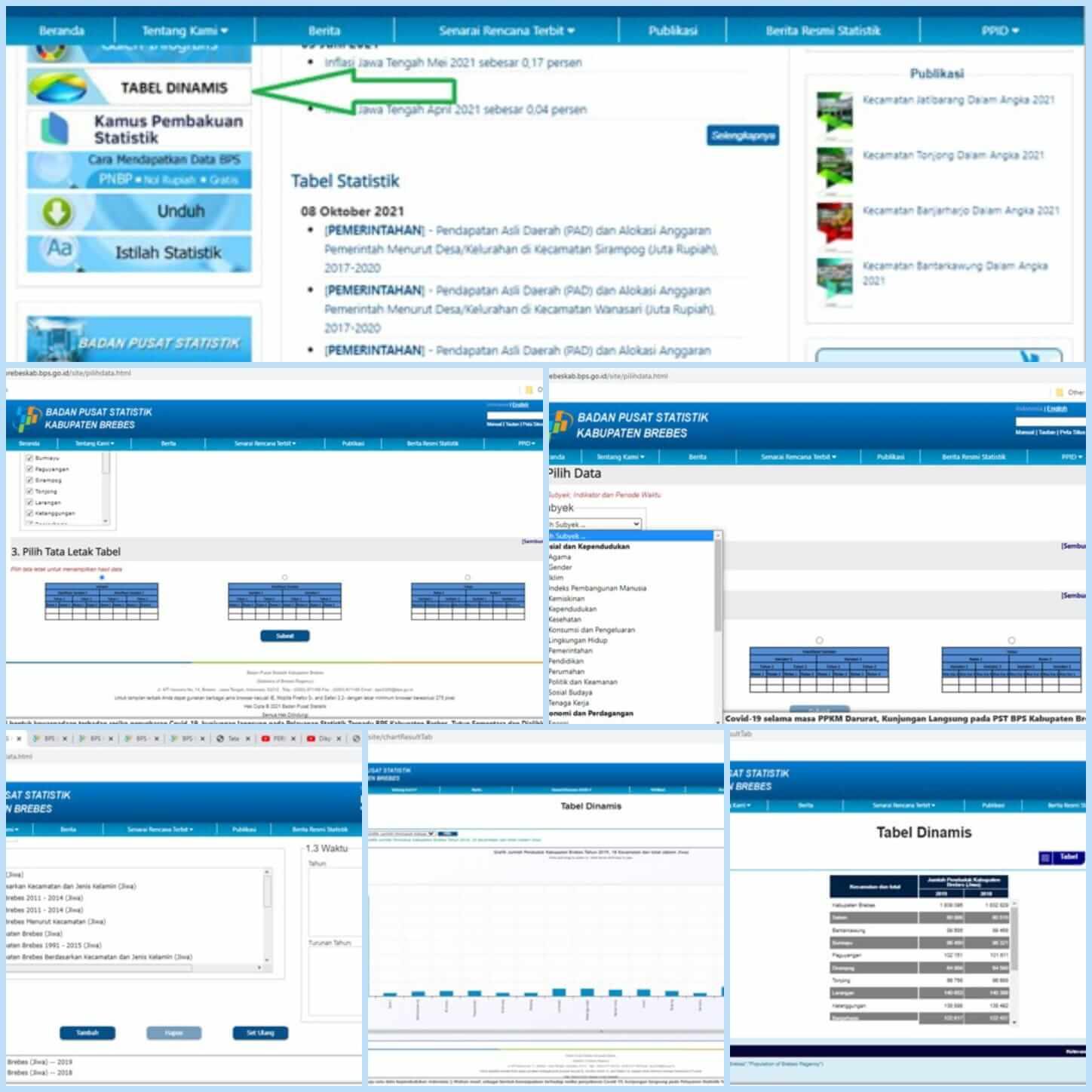 Mengenal Tabel Dinamis di Website BPS Kabupaten Brebes